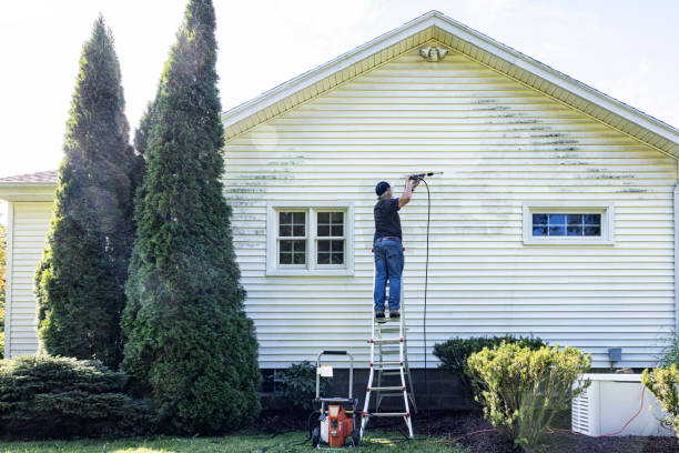 Best Solar Panel Cleaning  in Port Chester, NY